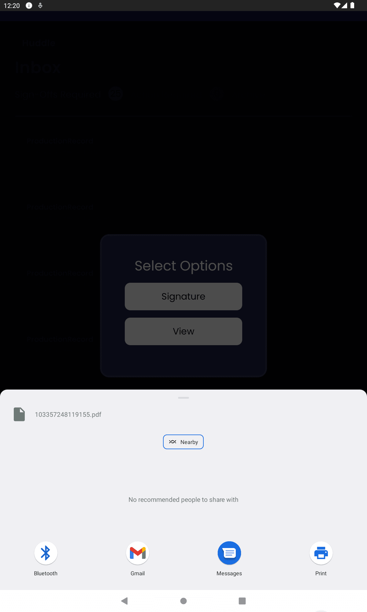 SaveOptions